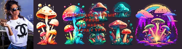 крисы Алексин